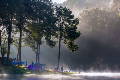 Woman camping by lake