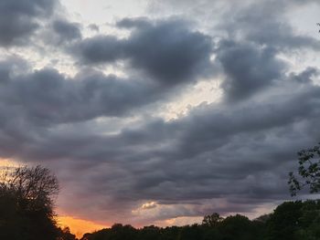Low angle view of trees against cloudy sky