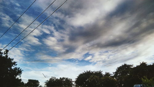 Low angle view of trees against cloudy sky