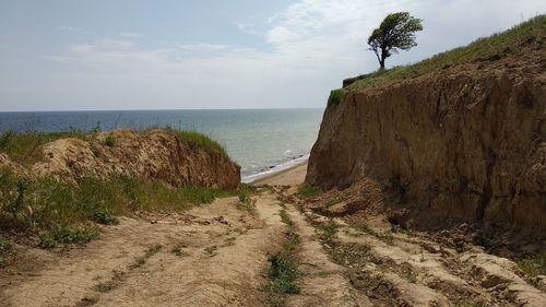 Scenic view of beach against sky