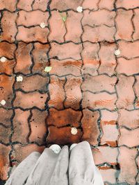 Low section of person standing on brick wall