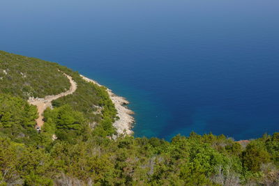 High angle view of trees by sea