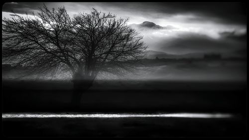 Silhouette of trees against cloudy sky