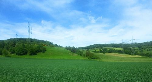 Scenic view of grassy field against sky