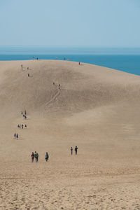 People on beach against clear sky