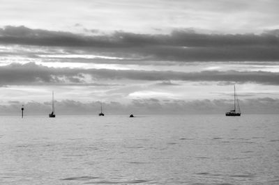 Sailboats sailing in sea against sky