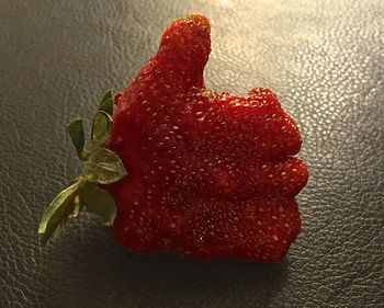 Close-up of hand on red leaf