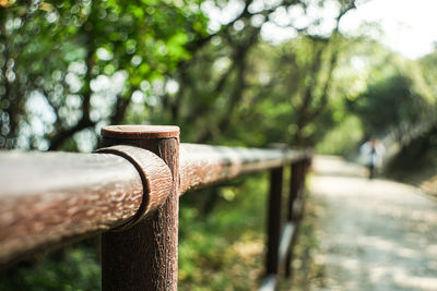 Close-up of rusty metal railing in park