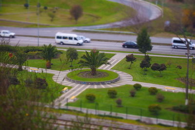 Road passing through trees