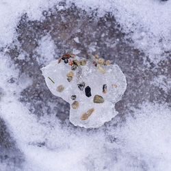 High angle view of ice cream on rock