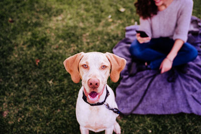 Portrait of woman with dog sitting on field