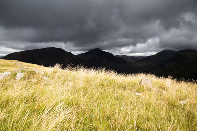 Scenic view of grassy field against cloudy sky