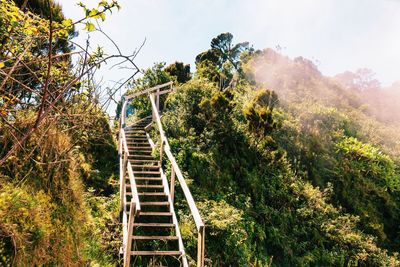 Wooden ladders at mount sabyinyo in the mgahinga gorilla national park, virungas region, uganda
