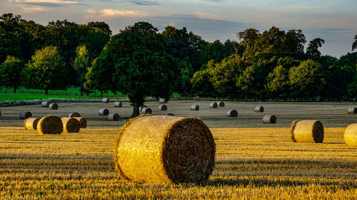 Hay bales on field against sky