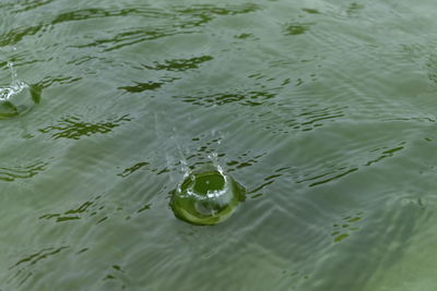 Full frame shot of rippled water