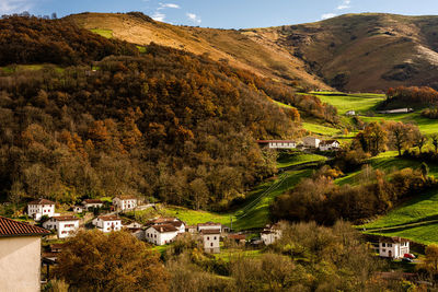 High angle view of houses and trees in town