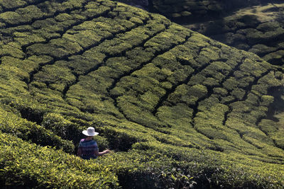 Young caucasian female traveling backpacker up hill and down dale in munnar, kerala state