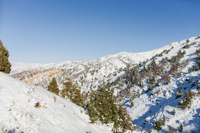 Landscape at the beldersay ski resort in the tien shan mountains in uzbekistan in winter. mountains 