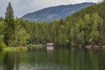 Scenic view of lake in forest against sky