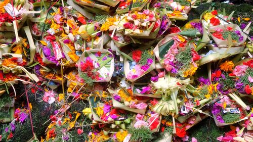 Close-up of multi colored flowers