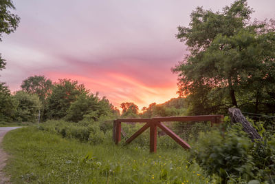 Trees on landscape against sky