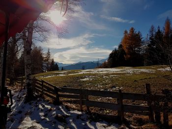 Trees on field against sky during winter