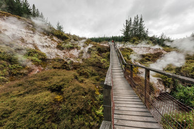 Footbridge along plants and trees against sky