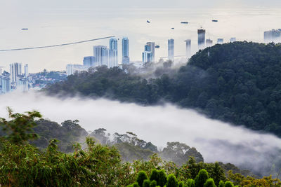 Scenic view of trees and cityscape against sky