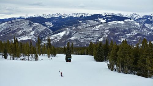 Scenic view of snowcapped mountains and trees