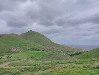 Scenic view of agricultural field against sky