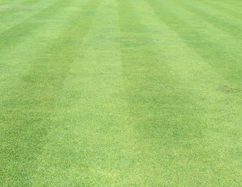 High angle view of soccer field