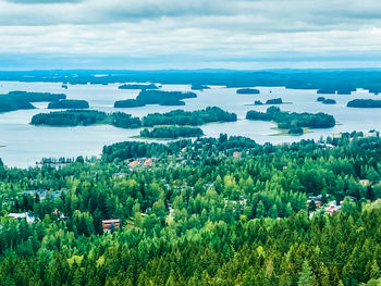 High angle view of trees and plants against sky