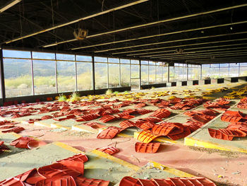 View of greenhouse