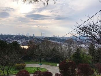 Trees and city against sky