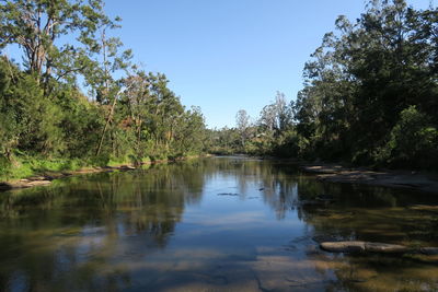 Scenic view of lake in forest against clear sky