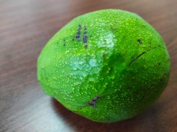 High angle view of green leaf on table