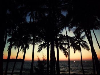 Silhouette of palm trees by sea against sky at sunset