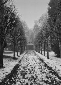 Snow covered footpath amidst trees against sky