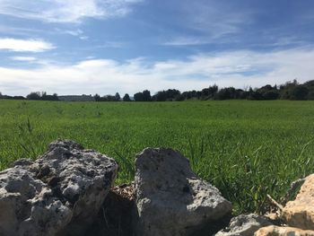 Scenic view of land against sky