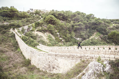 Scenic view of tree mountain against sky