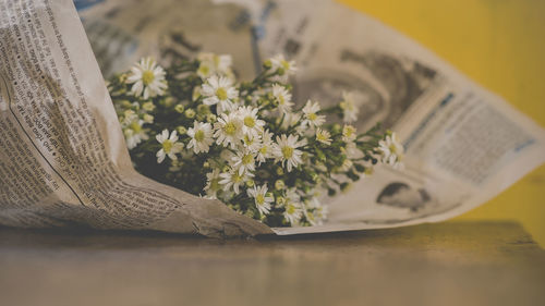 Close-up of white flower on table