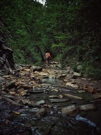 Traveler in the amazing mountain place