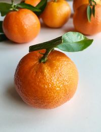 Close-up of orange fruit