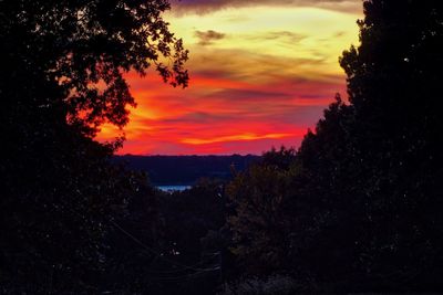 Silhouette trees against sky during sunset