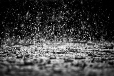 Close-up of water drops on field