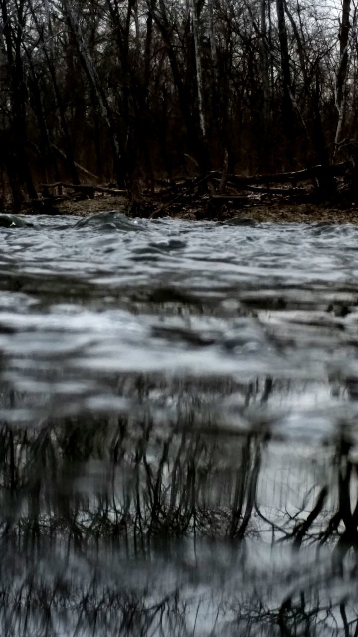 water, lake, tranquility, tranquil scene, tree, reflection, scenics, beauty in nature, nature, forest, bare tree, river, waterfront, lakeshore, non-urban scene, branch, idyllic, outdoors, no people, day