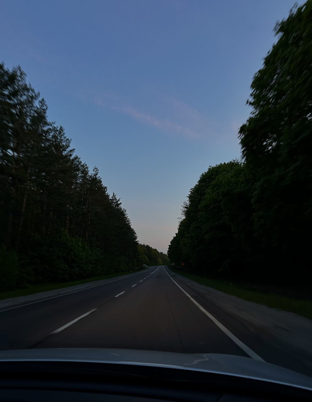 transportation, road, tree, mode of transportation, car, motor vehicle, sky, road trip, plant, travel, vehicle interior, nature, windshield, transparent, the way forward, no people, infrastructure, car interior, highway, glass, light, car point of view, land vehicle, journey, on the move, motion, sunlight, diminishing perspective, vanishing point, lane, morning, outdoors, vehicle, sign, non-urban scene, road marking, land, freeway, horizon, symbol, day, marking, beauty in nature, cloud