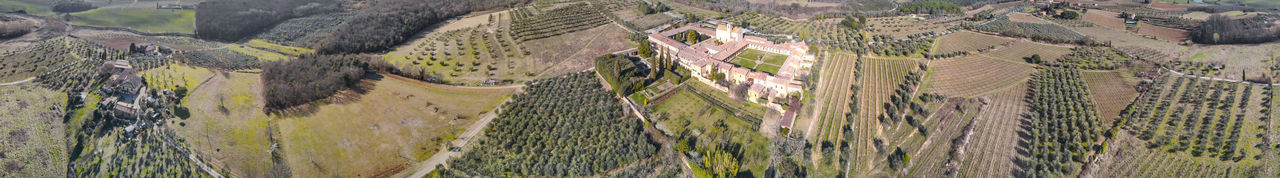 High angle view of plants growing on land