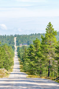 Road amidst trees against sky