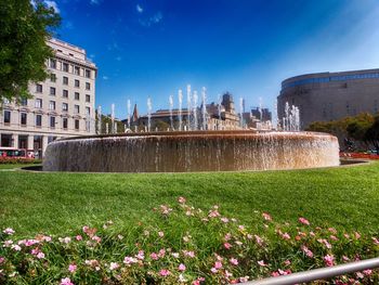 View of park with buildings in background